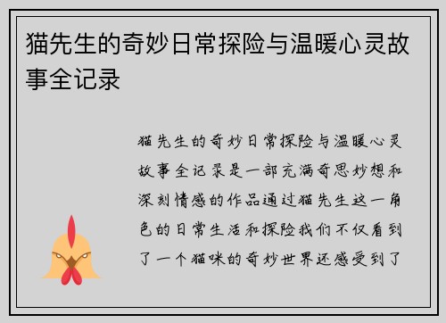猫先生的奇妙日常探险与温暖心灵故事全记录